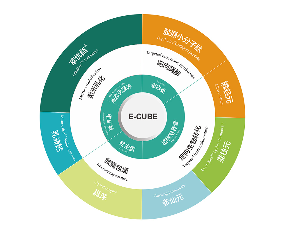 1782971876811473.jpg Schematic of the E-Cube Bioinspired Efficacy Technology Platform